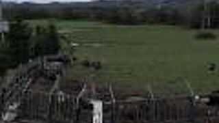 凄い規模だった