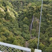 九重夢大吊橋からみた