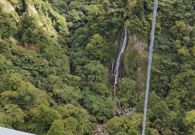 九重夢大吊橋からみた