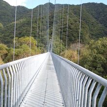 大吊橋①