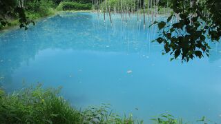 観光バスツアーに織り込まれている
