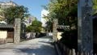 松平定信の墓があります。