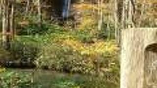 雲井の滝近くの遊歩道側の滝