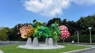 野外展示はゆっくり回ってみたい