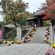 修善寺温泉の修禅寺山門の紅葉