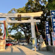 西陽が当たる熊本城が美しく見られる