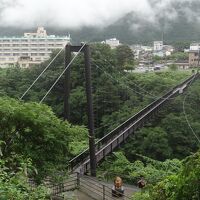 ホテルの前！鬼怒川楯岩大吊橋。