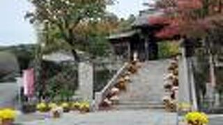 修善寺温泉の修禅寺山門の紅葉