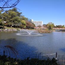 池の噴水