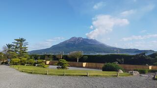 言わずと知れた島津のお屋敷。お庭越しの桜島がとても綺麗