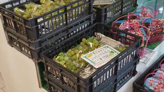 ぶどうも売ってた