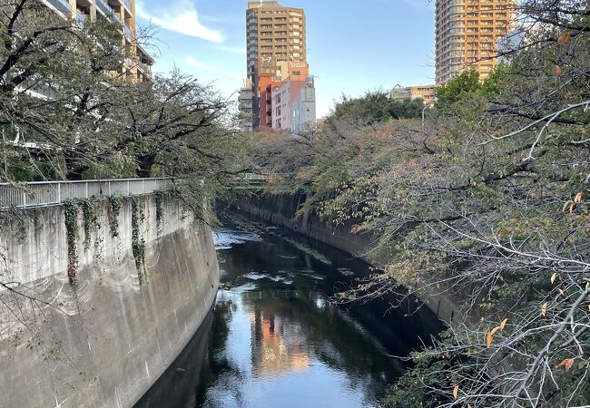 神田川