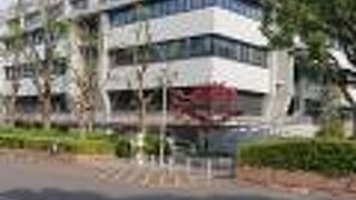 紅葉している木もチラホラ