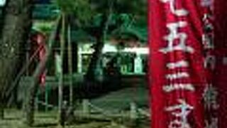 赤い七五三まいりの幟旗に季節感を感じました