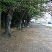 隅田川沿いの公園。