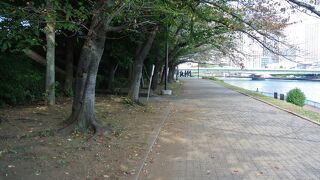 隅田川沿いの公園。