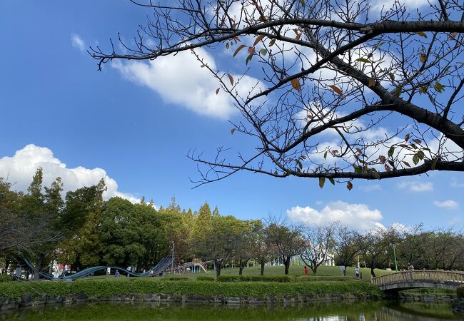 中部公園