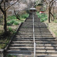 弘法山観世音(階段下)