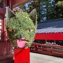 本殿脇に小学生が作ったの&#10067;狐の菊姫さん～