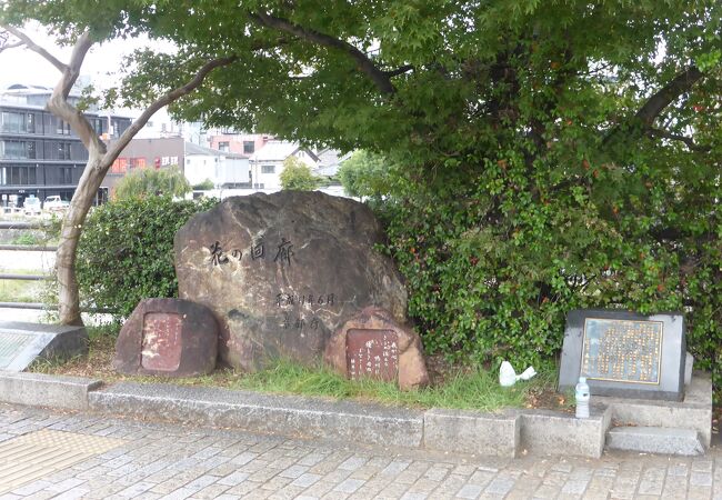 鴨川左岸の遊歩道