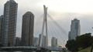 平成時代に隅田川に架けられた橋。