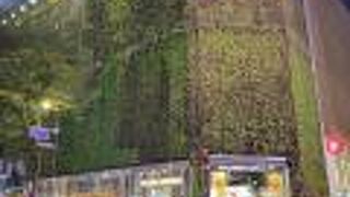 ネイチャーリパブリック (明洞ワールド店)