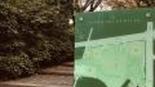 整備してある林