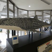 沖縄美ら海水族館レゴブロックのジンベエザメ