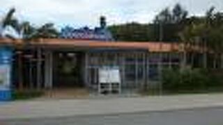 イルカのぬいぐるみやTシャツ等