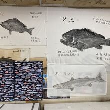 売店にあった魚拓