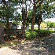 公園の北側には東京都現代美術館があります。