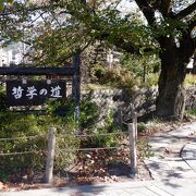 銀閣寺近くの木々に囲まれた小さな水路でした。