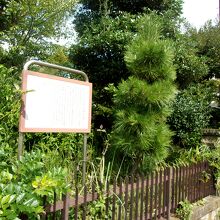 説明板の様子です。