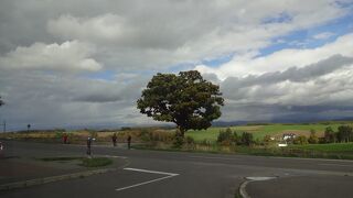 まるうんトラベルの札幌からの日帰りバスツアーで訪問しました。