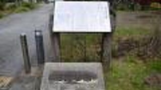 都心の中の小さな公園