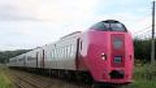 ピンクの特別車両も