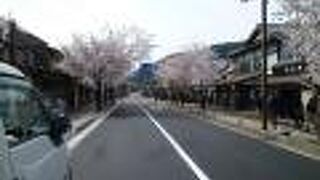 嵐山商店街にもソメイヨシノ