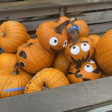 ハロウィンの展示物