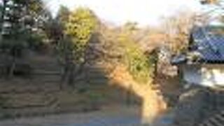 広くて都心とは思えない空間