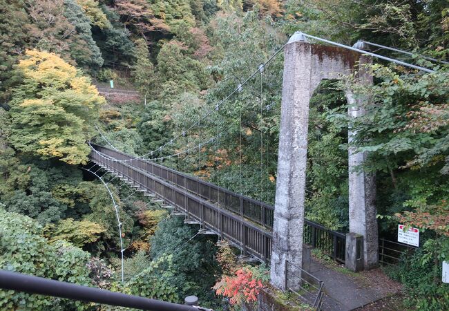 森に囲まれた景色の良い橋