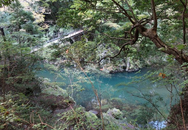 周囲の景色が最高です。