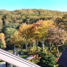 客室のデッキからは八甲田の紅葉が眺められる