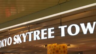 見るだけでも楽しすぎる