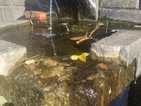 岸谷の湧水