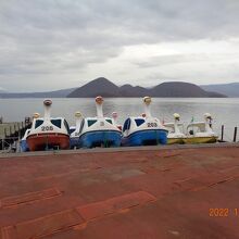 スワンは休眠のようでした。