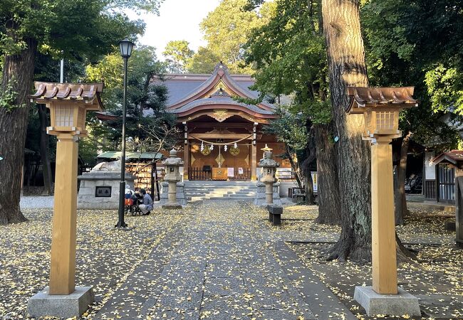 イチョウの絨毯