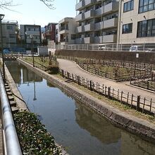 古石場川沿いに整備された公園