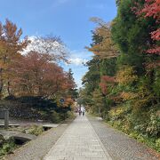 境内の紅葉がきれい