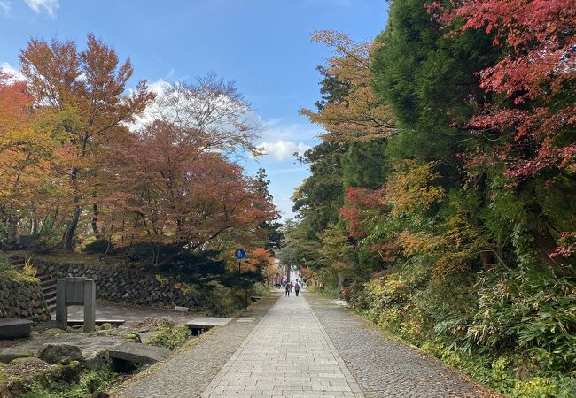 境内の紅葉がきれい