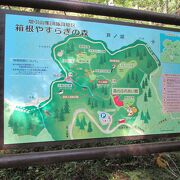   芦ノ湖西岸歩きで箱根やすらぎの森に寄りました